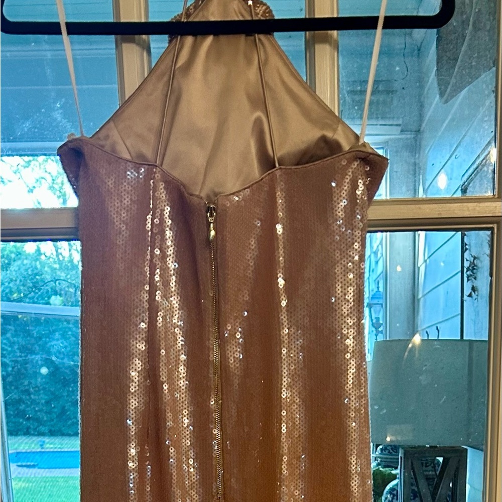 Rebecca Vallance Blush Sequin Strapless Gown - Picture 4 of 6